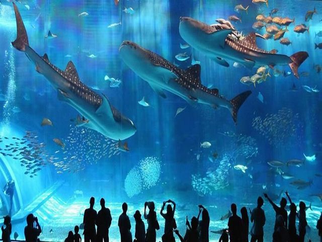 Hurghada-Grand-Aquarium-4.jpg