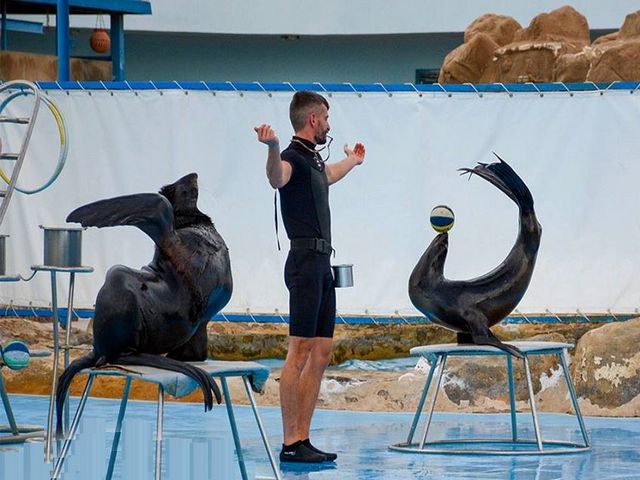 Sea-World-Hurghada-5.jpg