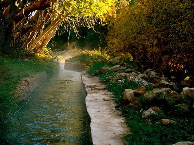 Ifrane-National-Park-0.jpg