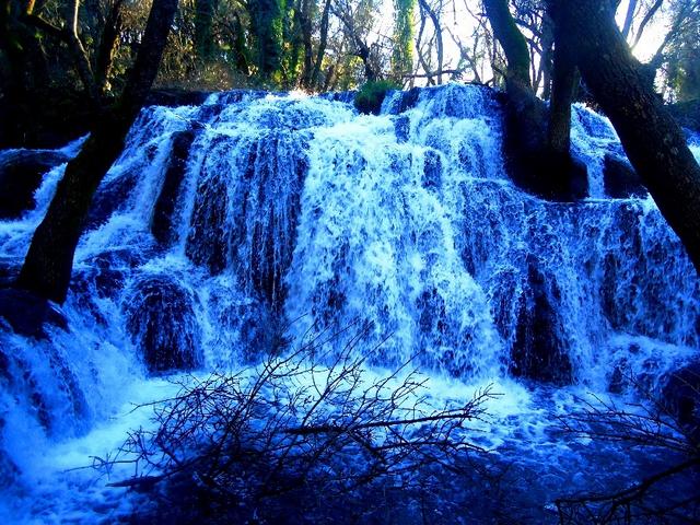 Ifrane-National-Park-2.jpg