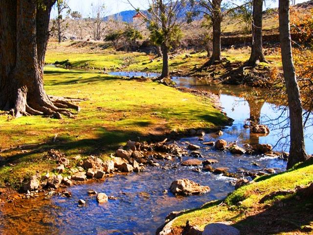 Ifrane-National-Park-3.jpg