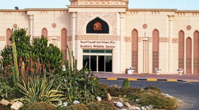 Sharjah-Zoo7.jpg