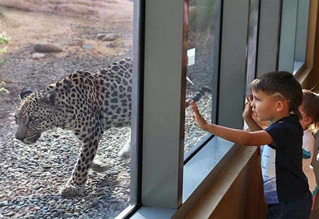 Sharjah-Zoo.jpg