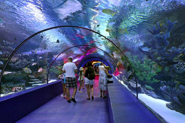 Antalya-Aquarium-3.jpg