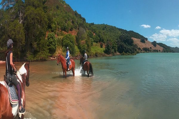 Waiheke-Island-in-Auckland.jpg