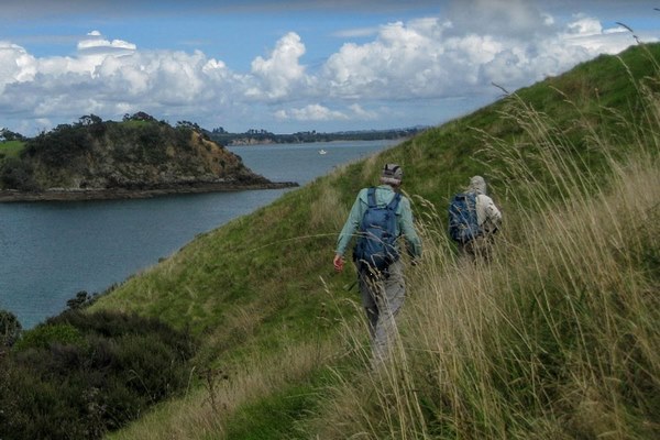 Waiheke-Island-in-Auckland7.jpg