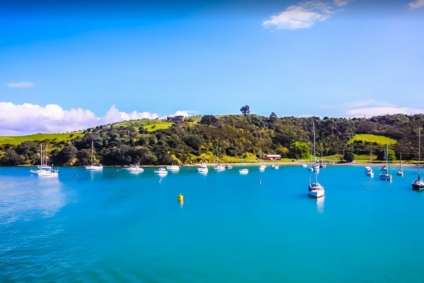 Waiheke-Island-in-Auckland8.jpg