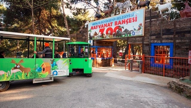 Antalya-Zoo.jpg