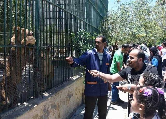 Alexandria.zoo_.jpg