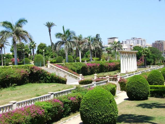 Alexandria-zoo-.jpg