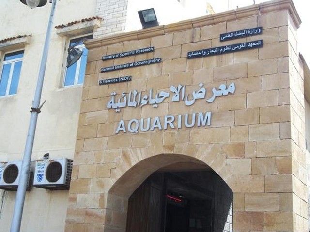 1554929483_938_Alexandria-Aquarium.jpg