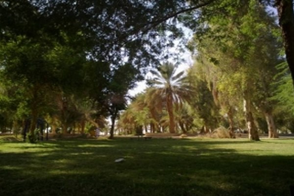 king-Abdallah-Park7-Copy.jpg