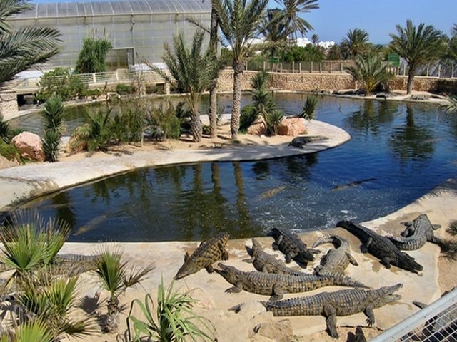 DubaiCrocodilePark-Tour.jpg