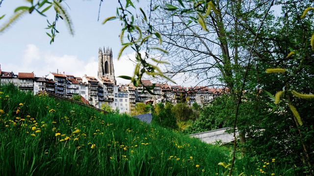 Freiburg-Minster.jpg