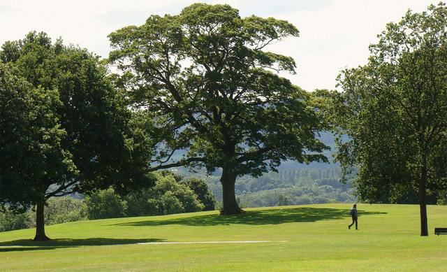 graves-park-sheffield-3.jpg