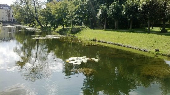 arboretum-park.Bonn_.jpg