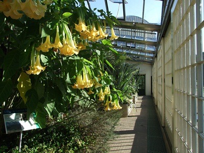 linear-Glass-Pavilions-Sheffield-Botanical-Gardens.jpg