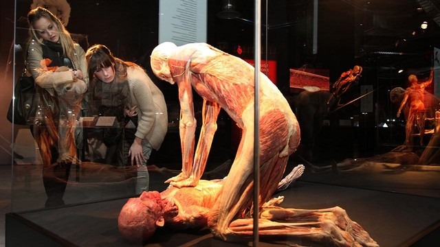 body-worlds-amsterdam-3.jpg