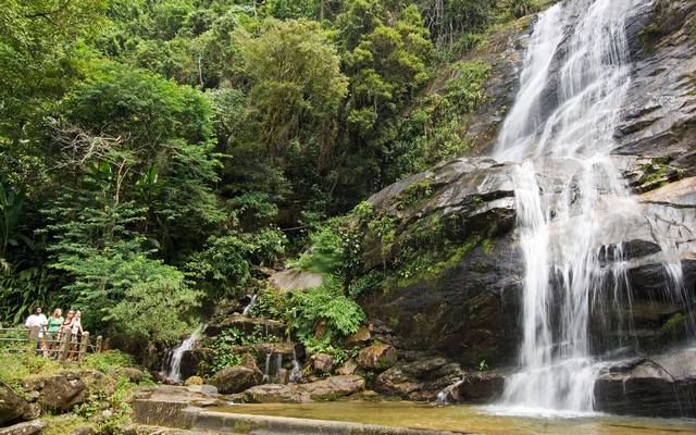 Tijuca-National-Park-1.jpg