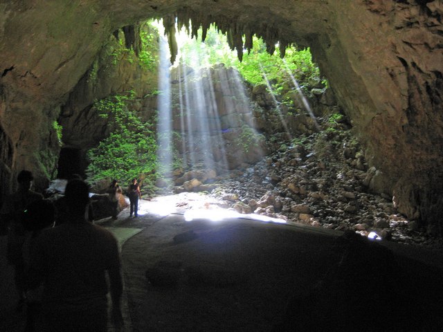 Tijuca-National-Park-2.jpg