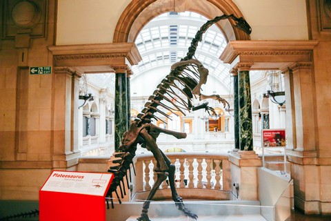 First-floor-Bristol-Museum.jpg