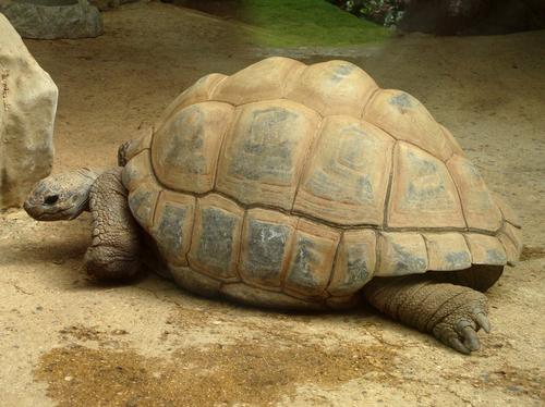 bristol-zoo-reptiles.jpg