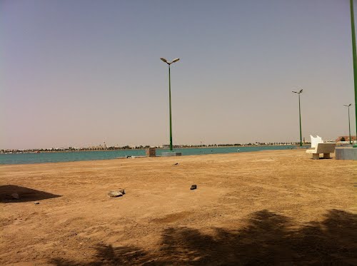 Oyster-Island-Saudi-Arabia.jpg