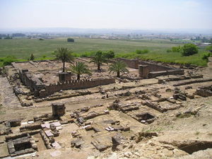 Mezquita_de_Medina_Azahara.jpg