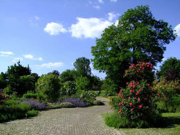 Botanical-garden-of-Dusseldorf-2.jpg