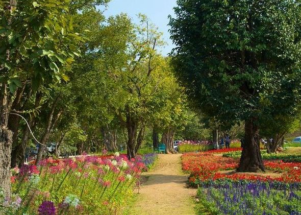 Queen-Sirikit-Botanic-Garden-Tour.jpg