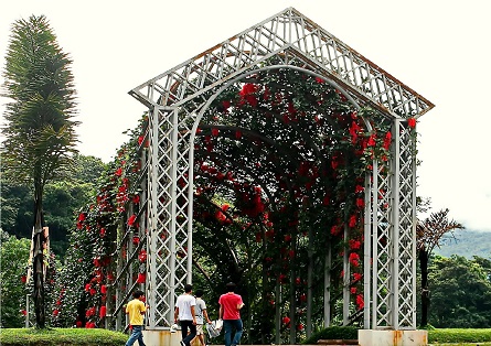 Queen-Sirikit-Botanic-Garden-FernGrove.jpg