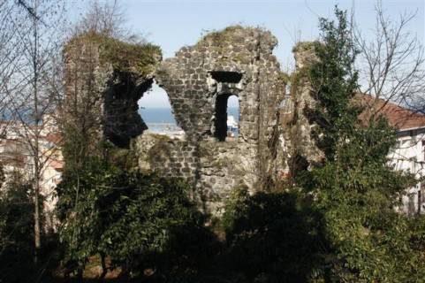 Rize-castle..jpg