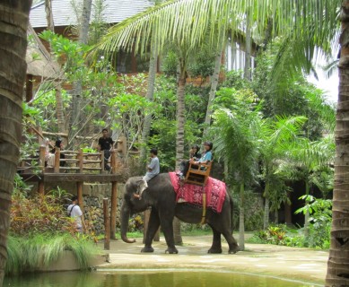 LOMBOKELEPHANT-PARK-Riding.jpg