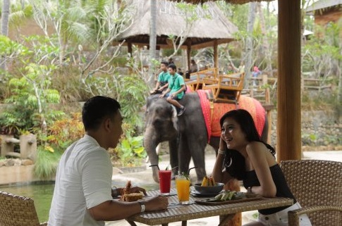 breakfast-with-the-elephant.jpg