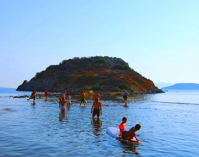 Rabbit-Island-Swimming.jpg