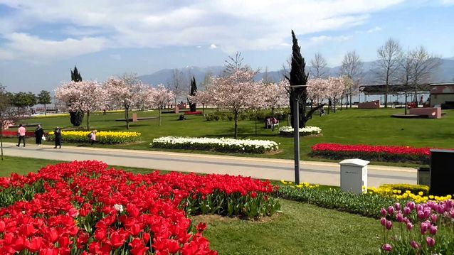 seka-park-izmit3.jpg