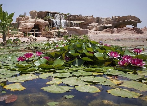 Crocodile-Park-Bridges.jpg