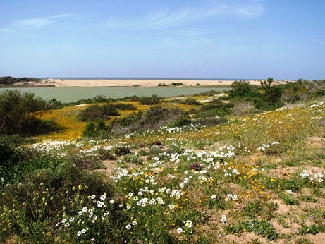 Souss-Massa-National-Park-Tour.jpg