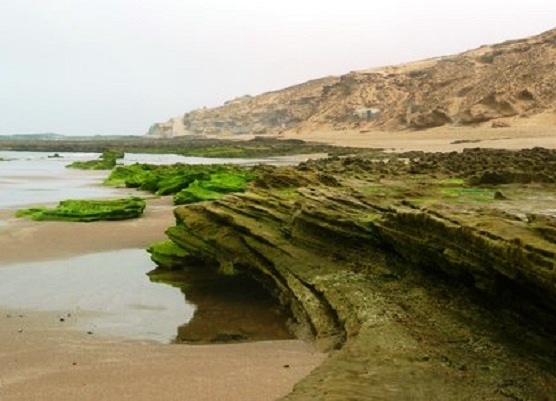 Souss-Massa-National-Park-Beaches.jpg