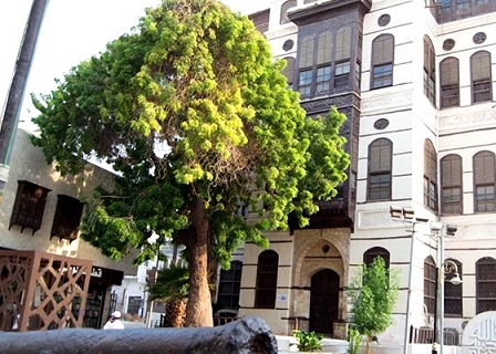 Shubra-Museum-Palace-Gardens.jpg