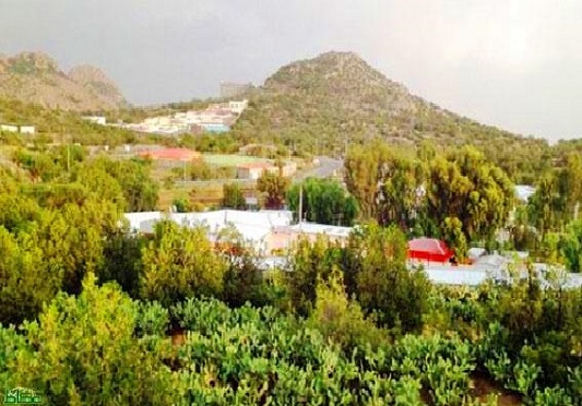 Alshafa-Village-Camping.jpg