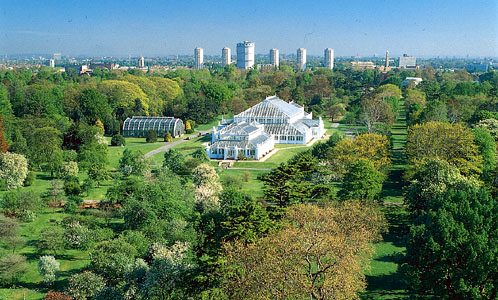 Royal-Botanic-Gardens-in-Kew.jpg