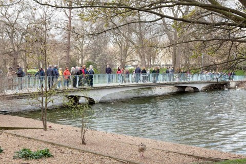 Blue-Bridge-St.James-Park.jpg