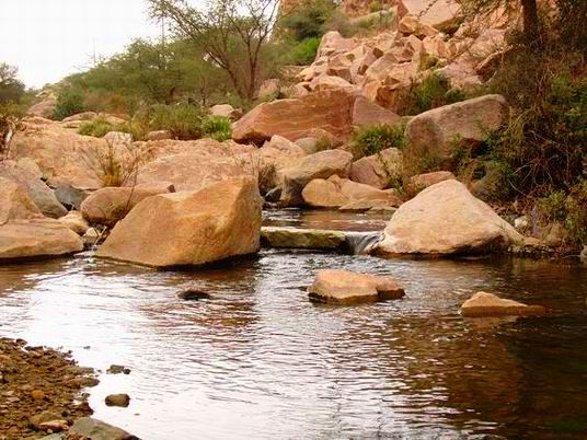 Taif-Zoo-Tour.jpg