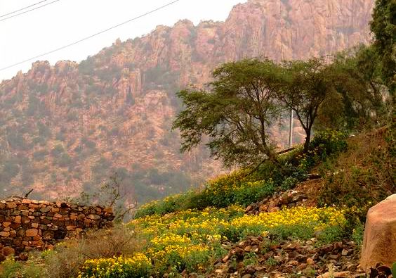 Taif-Cable-Car-Picnic.jpg