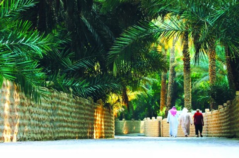 Al-Ain-Oasis-Abu-Dhabi.jpg