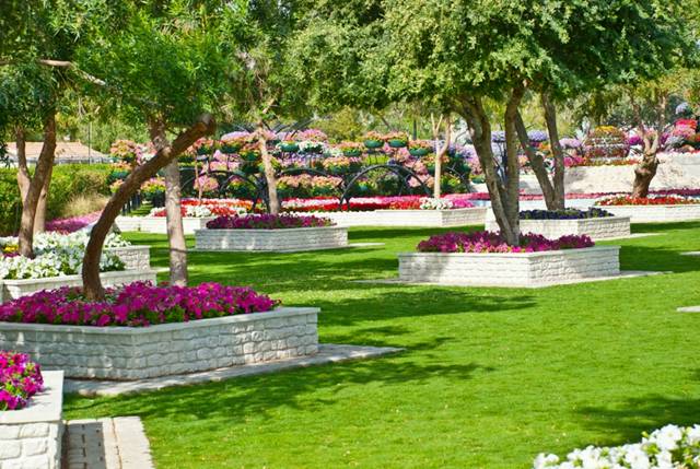 Flower_Park_Al_Ain-paradise.jpg