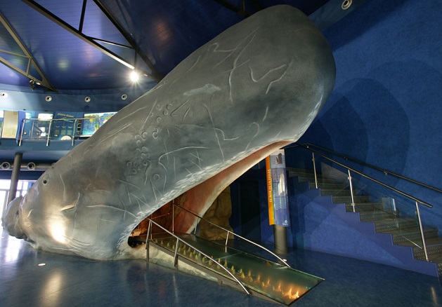 Aquarium-Barcelona-PlanetaAqua.jpg