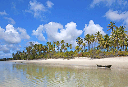 Jozani-Chwaka-Bay-National-Park-3.gif