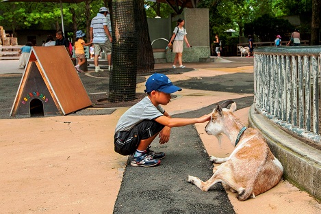 Ueno-Zoo-PettingFarm.jpg